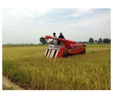 Máy gặt đập liên hợp Kubota R1-55