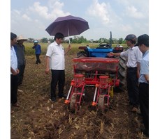 MÁY GIEO TRỒNG NGÔ (BẮP), ĐẬU TƯƠNG