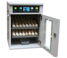 Máy ấp trứng 100 trứng