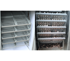 Máy ấp trứng 1000 trứng
