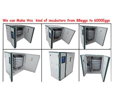 MÁY ẤP TRỨNG NHẬP KHẨU KN-1584