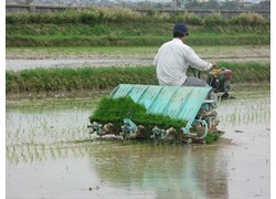 Máy cấy lúa 2ZS-4