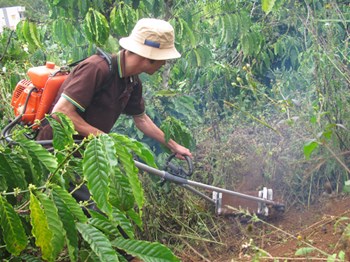 Máy xạc cỏ, máy làm cỏ cà phê
