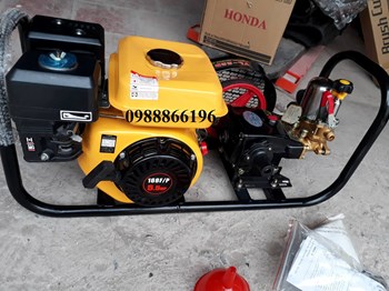 Máy phun thuốc sâu động cơ xăng 5.5HP 