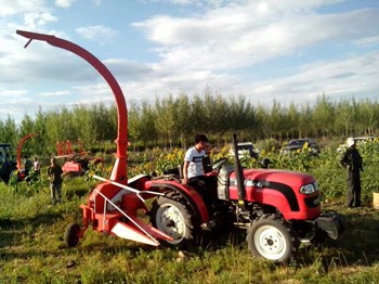 Máy cắt và băm ngô 1 hàng 