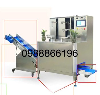 Máy gọt vỏ, tách lõi và tách vỏ dứa 