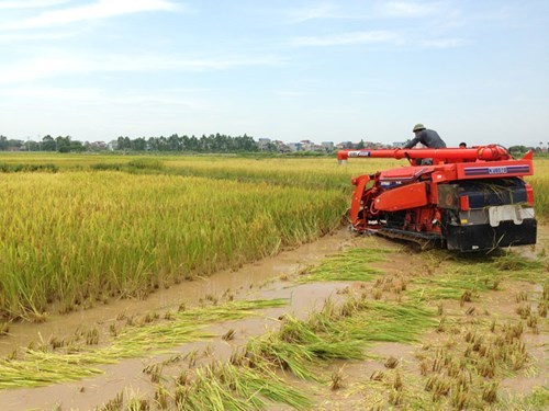 may gat dap lien hop kubota r1-55 hinh 0