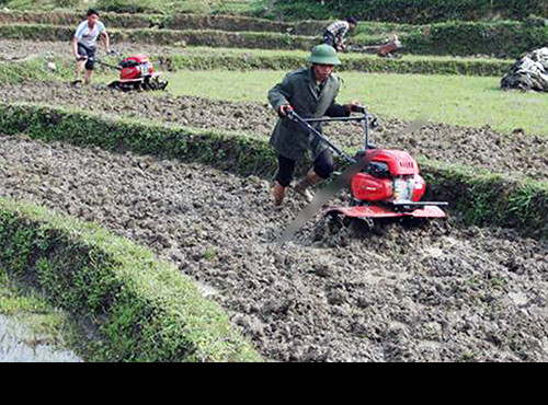 may xoi dat da nang trau vang xdx1-t hinh 0